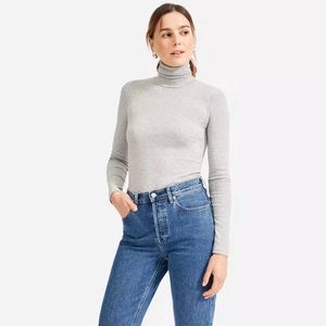 Everlane Pima Cotton Rib Turtleneck